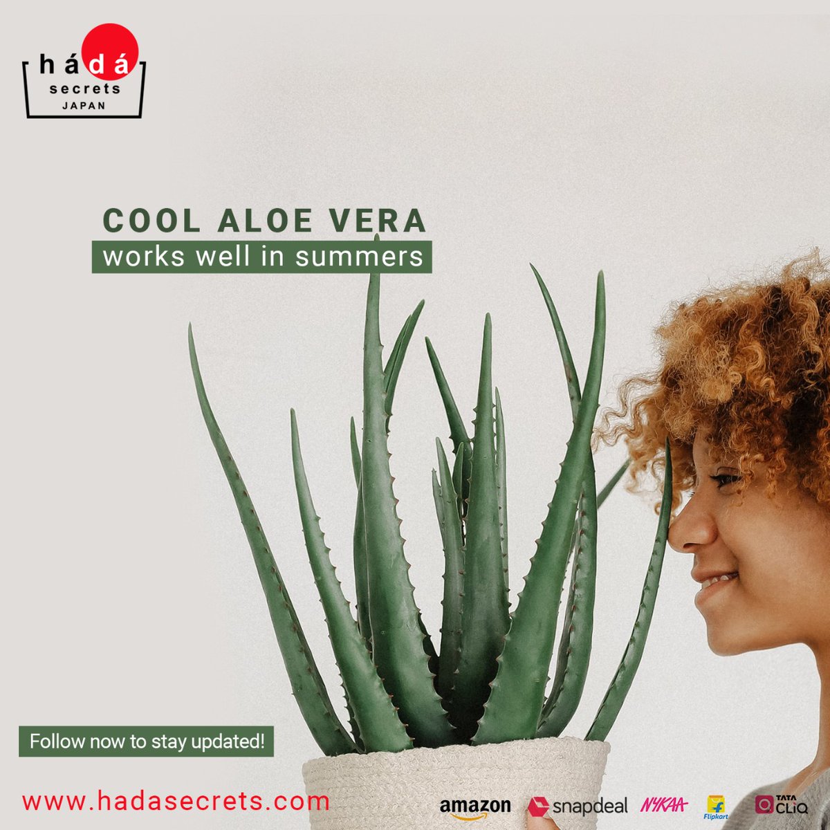 HadaSecrets's tweet photo. Take a fresh Aloe Vera leaf, and cut the thinner end and discard. Wash with clean running water and refrigerate for some time (do not freeze!). After the leaf gets cool, squeeze and apply. You will go ‘Ah!’ And love the experience.
#HadaSecrets #JapaneseSkincare #Skincare #Japan https://t.co/3dyLVmV84L