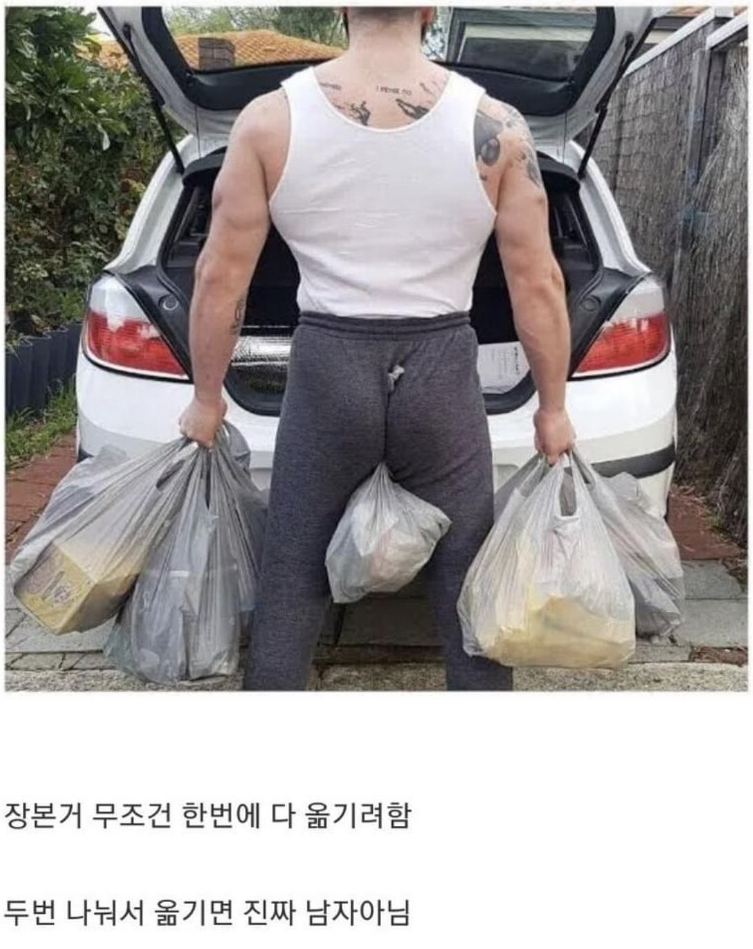 Главный орган у человека это задница