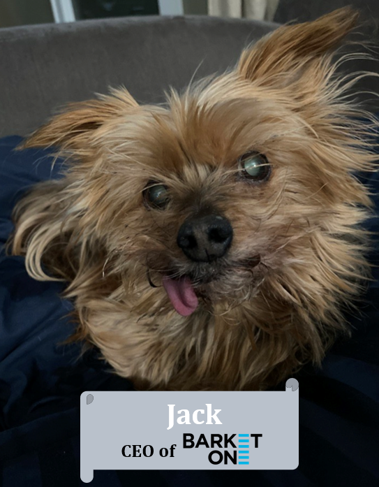 jennycomisford's tweet photo. Dubbed head of @MarketOne_Intl 's partner company - BarketOne, @KatieMartell, here's Jack, the Yorkie😁Thanks again for your enthusiastic moderation of our #cxm session at #b2bigniteusa! https://t.co/3uTfJdapcR