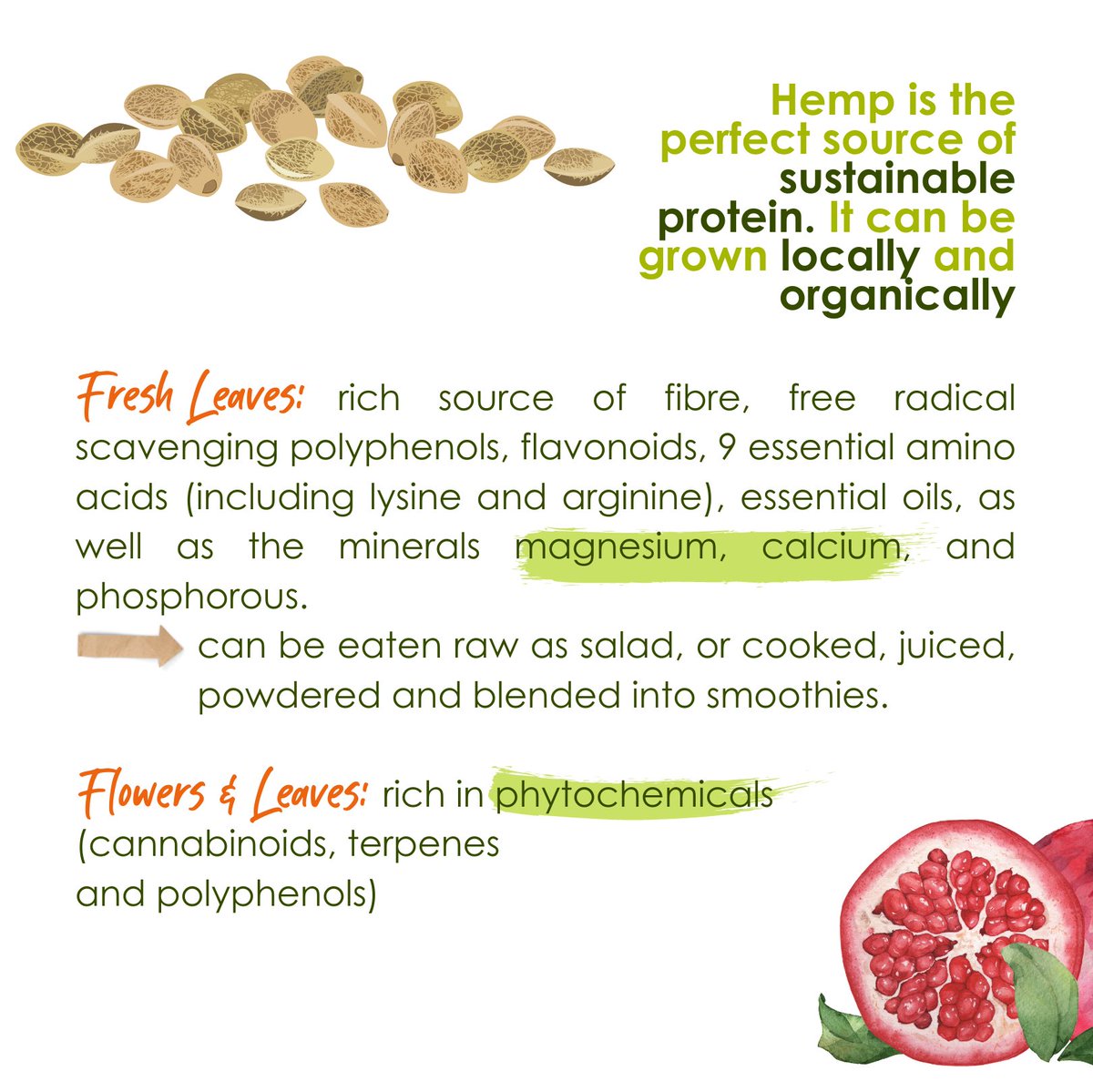 Today we celebrate World Food Safety Day 🥗🗺️!

🍃 At EIHA, we want to remind you that hemp is a great source of nutritious and healthy food: good for our own health and good for the health of the planet!

#WorldFoodSafetyDay #FoodSafety #SafeFood #HempFood