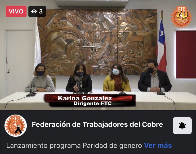 FTCobre's tweet photo. Las diputadas Maite Orsini (RD) y Claudia Mix (Comunes) y la Federación de Trabajadores del Cobre @FTCobre presentan proyecto sobre PARIDAD DE GÉNERO EN DIRECTORIOS DE EMPRESAS DEL ESTADO. Sigue la transmisión 👉 https://t.co/qzrqHGvToa y https://t.co/QpusLmpf4x https://t.co/MGkajvxpjU