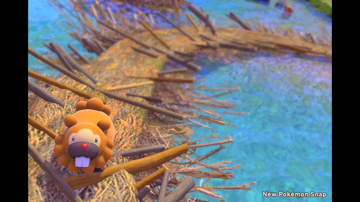 Twitter पर ビッパ ह शट ग