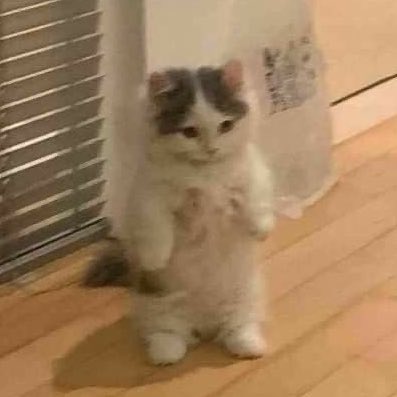 ˚ ᴊᴊᴋᴏᴏ ᐧ༚̮ᐧ tweet media