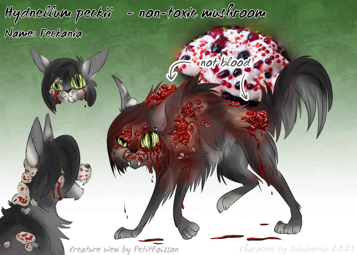_Ololoevna_'s tweet photo. @PetitePoissone pretty tempting character concept
at first I also wanted to make a cat based on flowers and then I remembered about this cool mushroom
This is not blood, but mushroom liquid
"tears" are constantly flowing from this liquid, the coat is almost constantly dirty https://t.co/hpDLNJQCAu