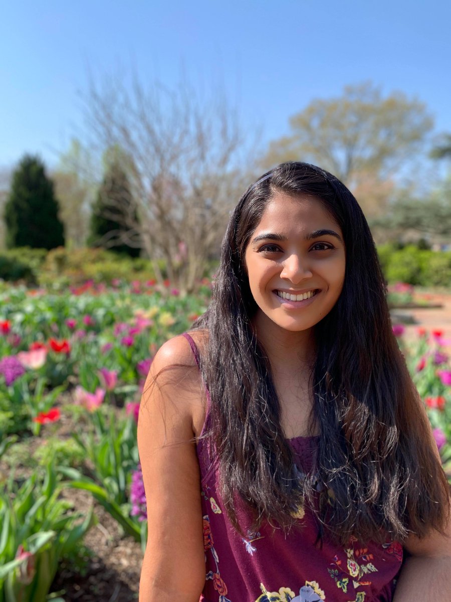 msc_dc's tweet photo. We're back! We'd like to introduce you to our new team:

Let's start with our Chair, @krithikarao_. Krithika is from Cupertino, CA, and is an MS3 at @GWSMHS. She is interested in community and social medicine, and is also a vegan foodie! Check out her IG @vegan.krith! https://t.co/lLwBmfBEkf