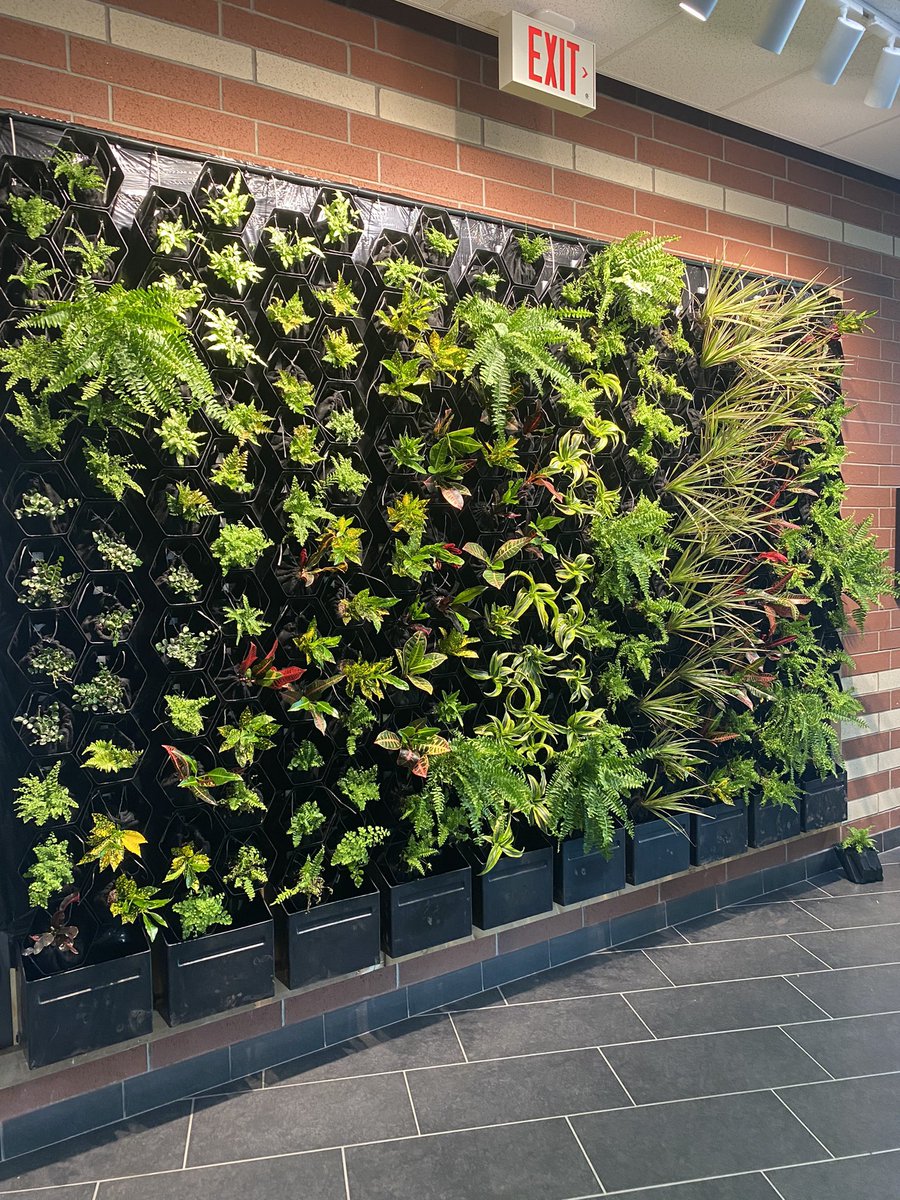 TechnologySab's tweet image. Vertical plant wall construction looking great! SAB technology rocks