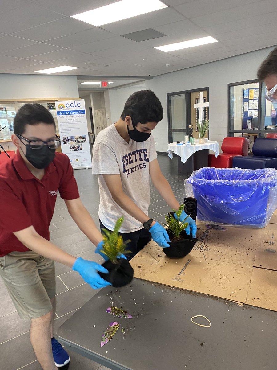 TechnologySab's tweet image. Vertical plant wall construction looking great! SAB technology rocks