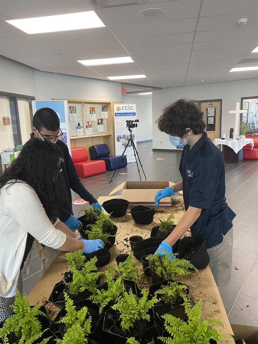 TechnologySab's tweet image. Vertical plant wall construction looking great! SAB technology rocks