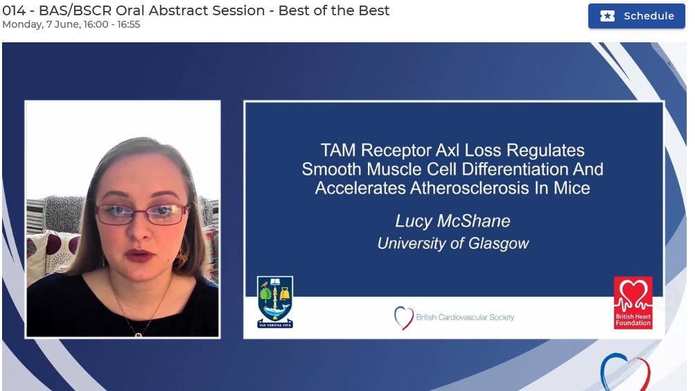 Thank you <a href="/BSCResearch/">British Society for Cardiovascular Research</a> <a href="/britathsoc/">British Atherosclerosis Society</a>  for selecting my abstract on the role of Axl in Atherosclerosis for presentation at the #BCS2021 Oral Abstract Session! 
All the sessions/ talks I've seen so far have been great!