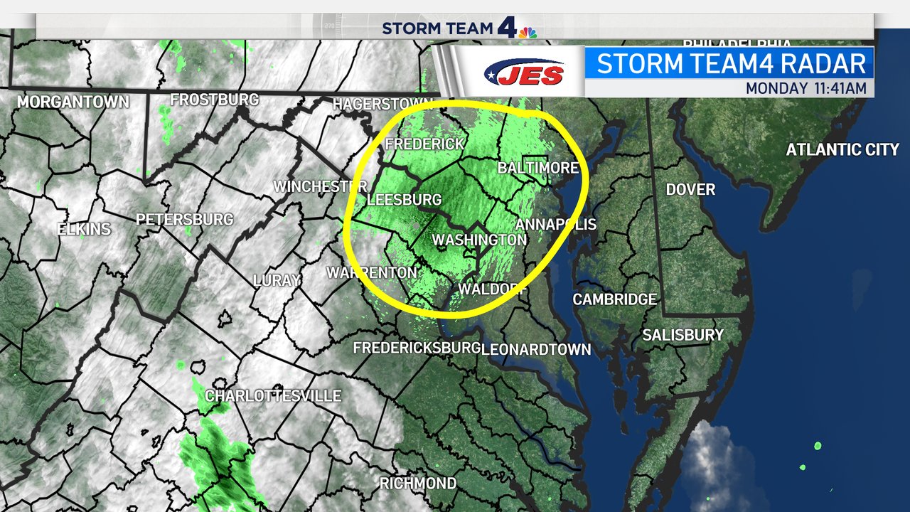 There Are So Many Cicadas Near Baltimore That They Show Up On The Weather Radar