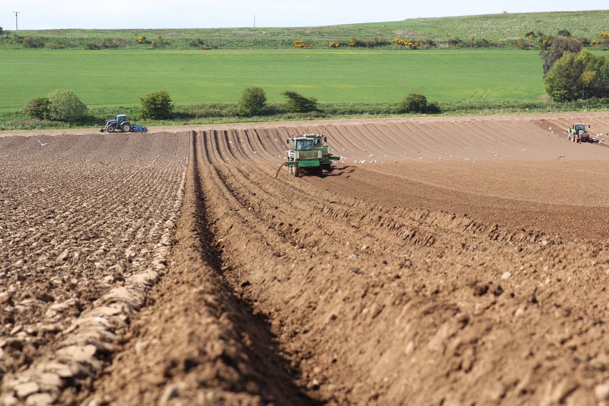 Potatoes in the ground.  Looking forward to this season's  #SPotScotland trial work with <a href="/AHDB_Scot/">AHDB Scotland</a> &amp; <a href="/ScotAgCoOp/">Scottish Agronomy Ltd</a> thanks <a href="/ScotAgronomyLtd/">Eric Anderson</a> for taking such great action photos last week <a href="/AHDB_Potatoes/">AHDB Potatoes</a>