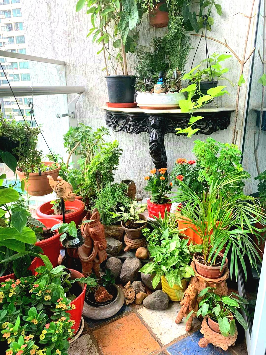 iKaushik365's tweet photo. @GodrejAndBoyce The best spot in my home to take a picture of nature is my Home Sweet Balcony which is the perfect #WindowToNature #ContestAlert #Photothon2021
Join
@AnujKRathour
@dadofbonhisha
@blessedkamal
@hiren1314
@pintuprasad9
@joydiphazarika
@CHUNMUN143
@ranchikuldeep
@AjaySandhu05 https://t.co/biupKJslLU