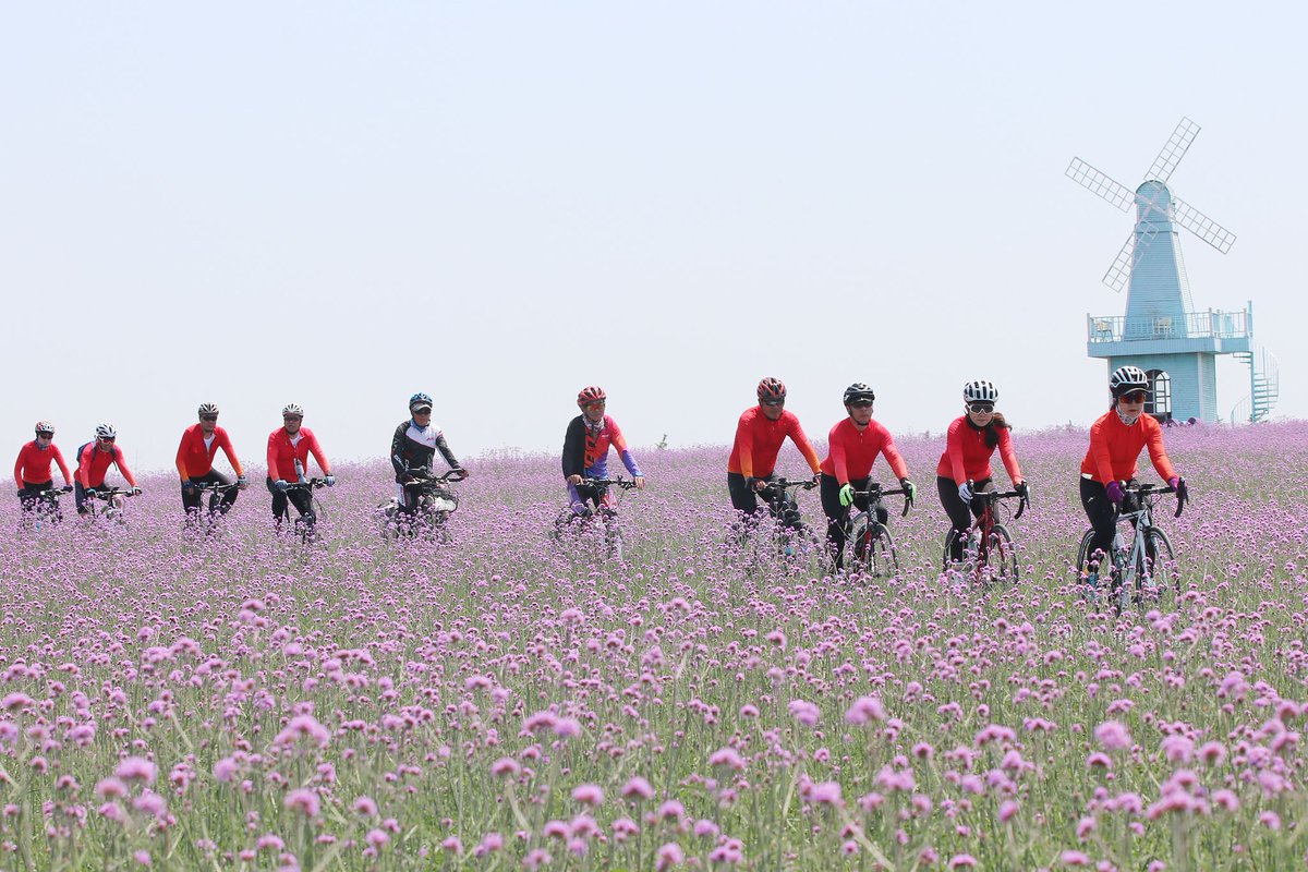 cgtnenespanol's tweet photo. El 7 de junio, en el lugar escénico del Jardín del Edén en el distrito de Guanyun, ciudad de Lianyungang, provincia de Jiangsu, los entusiastas del ciclismo montan en el mar de flores, disfrutan del hermoso paisaje de verano y defienden el concepto de viajes ecológicos. #China https://t.co/XUb0W7VjyU