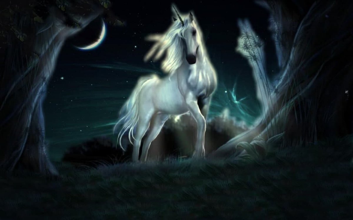The Light Unicorn (LUNI) is here!

Chart: 
dextools.io/app/pancakeswa…

Pancakeswap:
exchange.pancakeswap.finance/#/swap?outputC…
LUNI Contract address:
0x0098b84361e9b522db9ea0b42207c5986c944f4b

DUNI Contract:
0x0486dbd893462743975a2c7408756b9f3d15b9c0

For now you can only get LUNI by using DUNI.