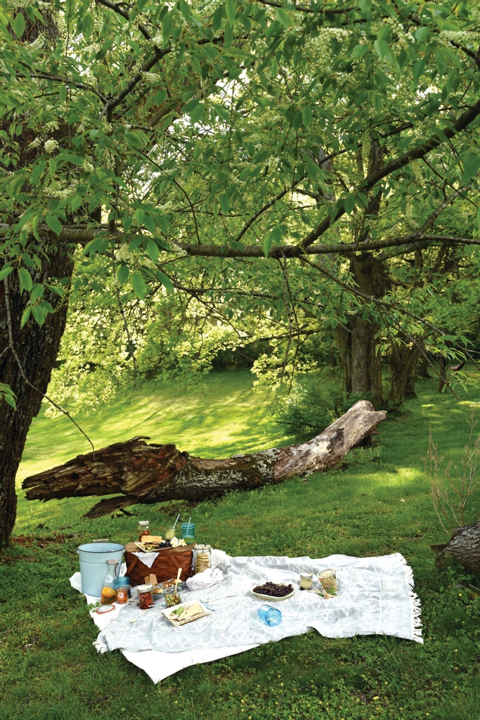 yourwilliamson's tweet photo. Plan the perfect picnic! Katie Jacobs explains how to create the perfect picnic experience for any occasion. She outlines the best places to have a picnic and a sample menu. To read more about how to create the perfect picnic, check out the link 
--> https://t.co/hoGdMCb0ge https://t.co/FaItuBJW6b