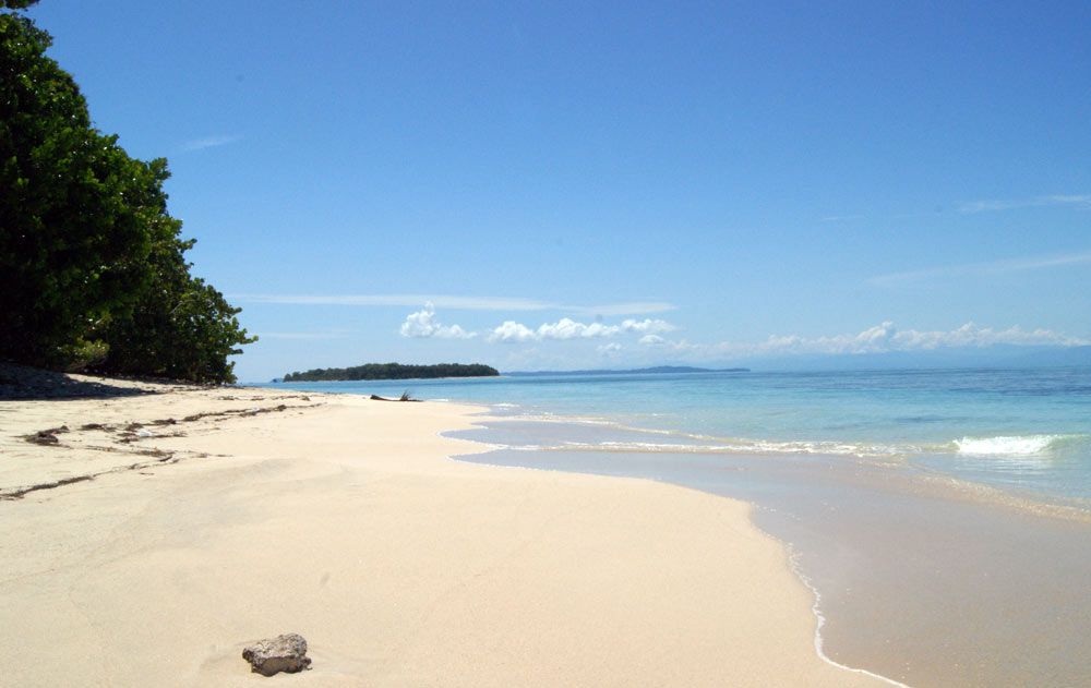 PriceTravel_CO's tweet photo. Estas son las 3 mejores playas en Bocas del Toro: https://t.co/dk4knnxeyL
¡Conócelas! https://t.co/GACP1ZgRuD