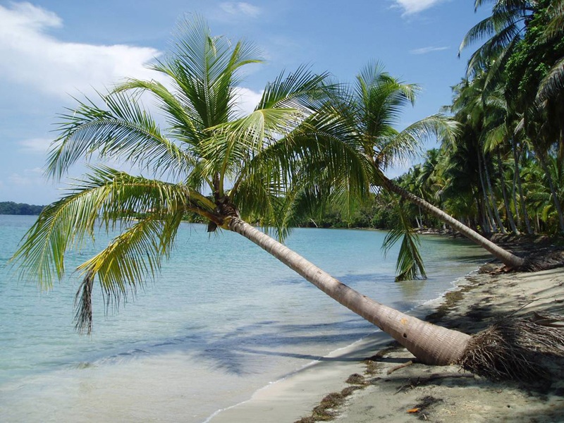 PriceTravel_CO's tweet photo. Estas son las 3 mejores playas en Bocas del Toro: https://t.co/dk4knnxeyL
¡Conócelas! https://t.co/GACP1ZgRuD