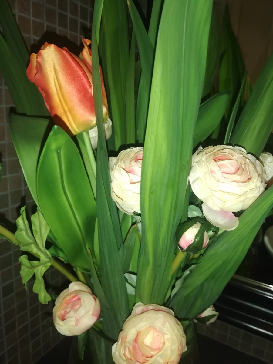 CocoChristineW's tweet photo. Flowers to make #bluemonday not so blue https://t.co/7UZvJSOnaO