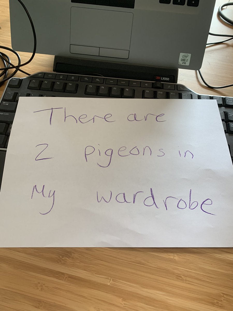 artymccarthy's tweet photo. When your daughter holds up a sign when youβre on a Teams call #unwantedvisitors #cominghometoroost https://t.co/c7E3JCS09y