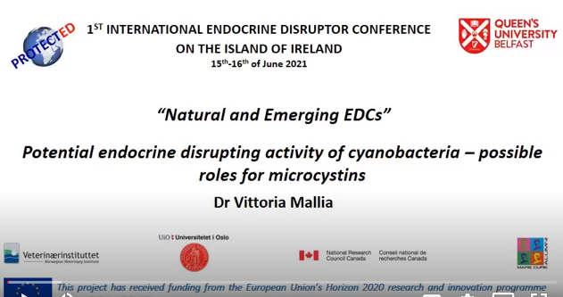 PROTECTED ITN tweet media