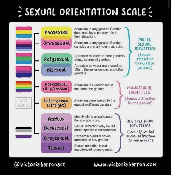 Time to break out the Pride flags... but what do they all mean? Here's a sexual orientation scale to break it down for newbies and refresh your memory. Thanks to Victoria Barron Art for this helpful graphic! #Pride2021 #PrideFlags #TheMoreYouKnow