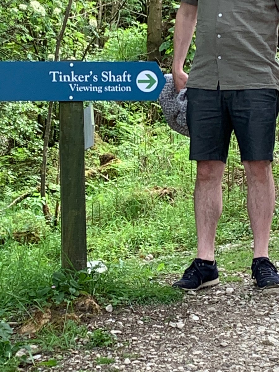 Jon Richardson tweet media