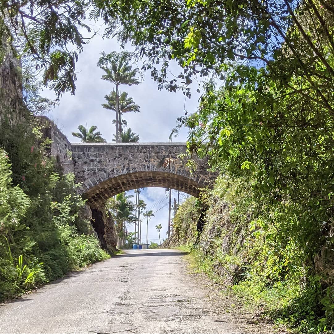 'Effort and hard work construct the bridge that connects your dreams to reality' - Daisaku Ikeda

Coast to Coast Climbing Challenge by eBike Island Adventures.

#barbados #ebike #visitbarbados #ebikebarbados #barbadosvacation