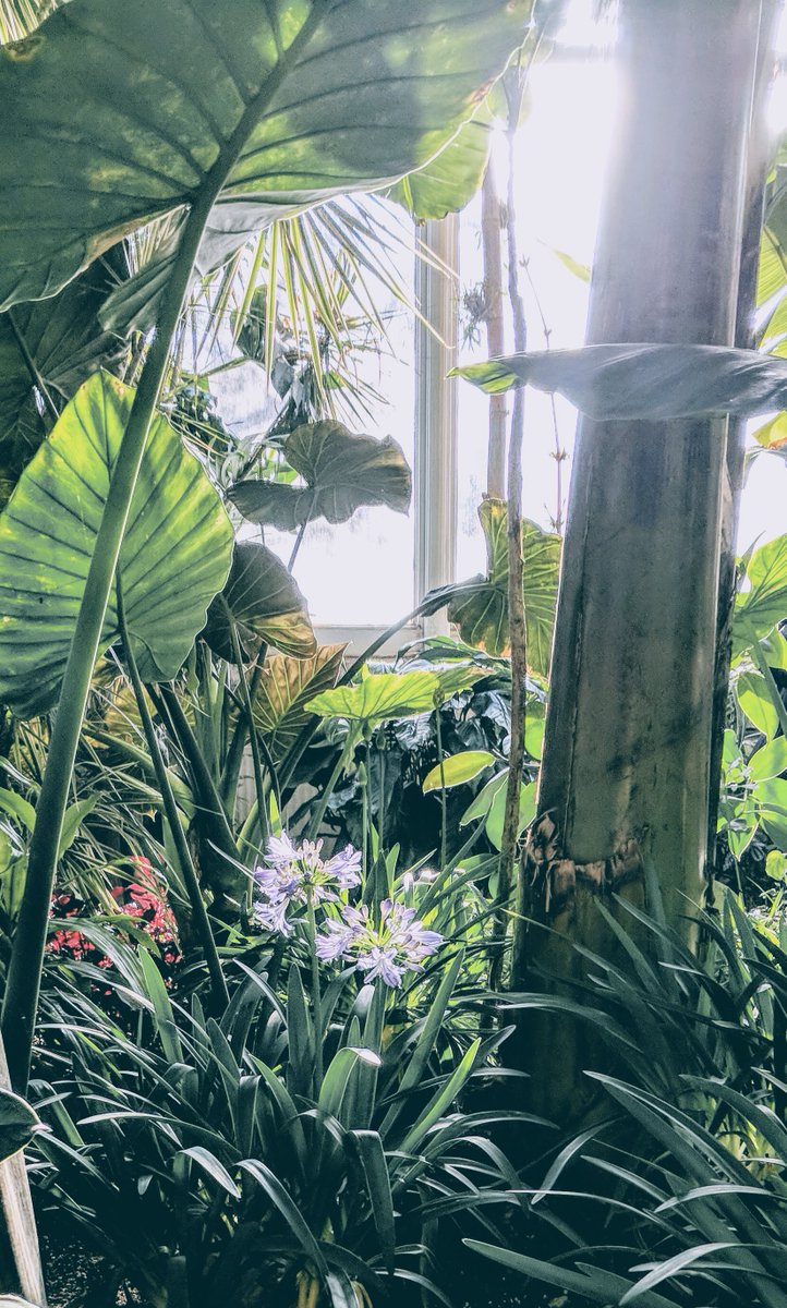 Join our volunteer team! We are looking for an experienced Graphic Designer and a Social Media Content Specialist to join our volunteer communications and marketing committee. 🌿🌿

friendsofallangardens.ca/volunteer-on-o…