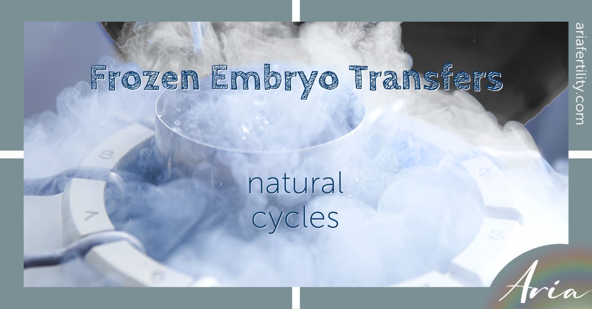 We need to ensure we know when ovulation occurs so we time the embryo transfer.

#loveislove
#pride2021
#ivf #ivfuk #ivflondon #ivfcliniclondon #fertility #infertility #fertilitycliniclondon #fertilityuk #fertilitysupport #infertilitysupport #infertilityawareness #ivfhelp #ttc