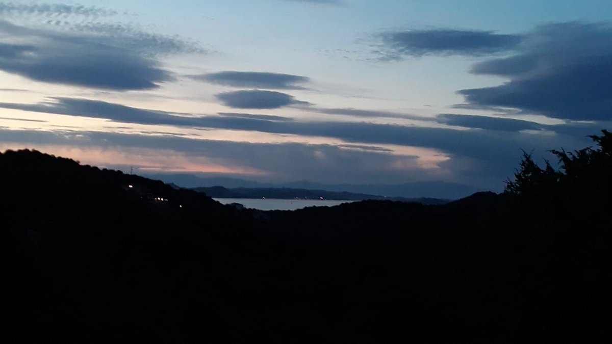 carolina53 tweet media