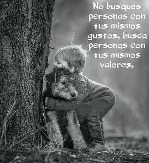 VicenteLaparra's tweet image. Mismos valores