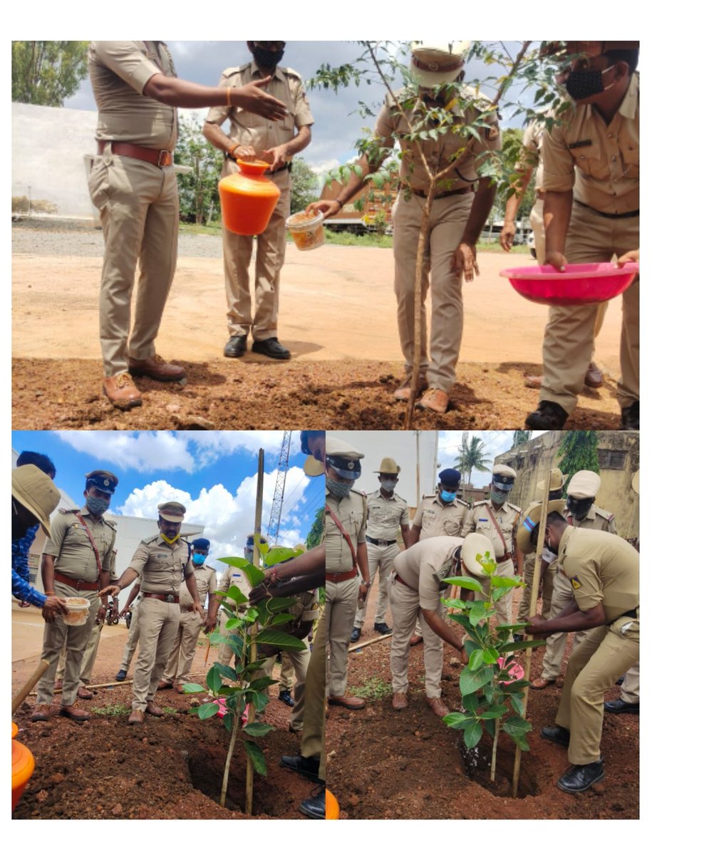 DrDevarajB1's tweet photo. Plant a tree sapling  daily ...don't wait for occasions @Dhannura police station bhalki taluk Bidar @Bidar_Police @bidarupdates @ADinfodeptBIDAR @eshwar_khandre @PrabhuChavanBJP @bhagwantkhuba @EFIVolunteer @aranya_kfd @DavanagereDfo https://t.co/12s56hJKnt