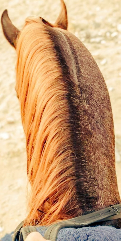 خلك مع اللي يفرحك ويفرحلك واللي يزيد حياتك .. حياة!
#مساء_الخير