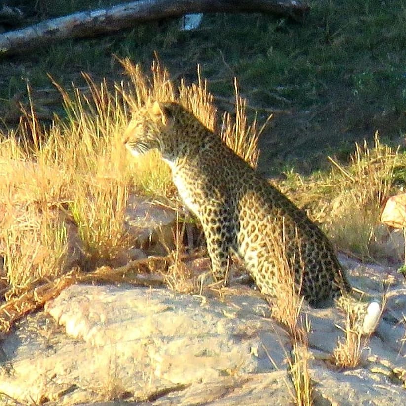 Kruger's Hub tweet media