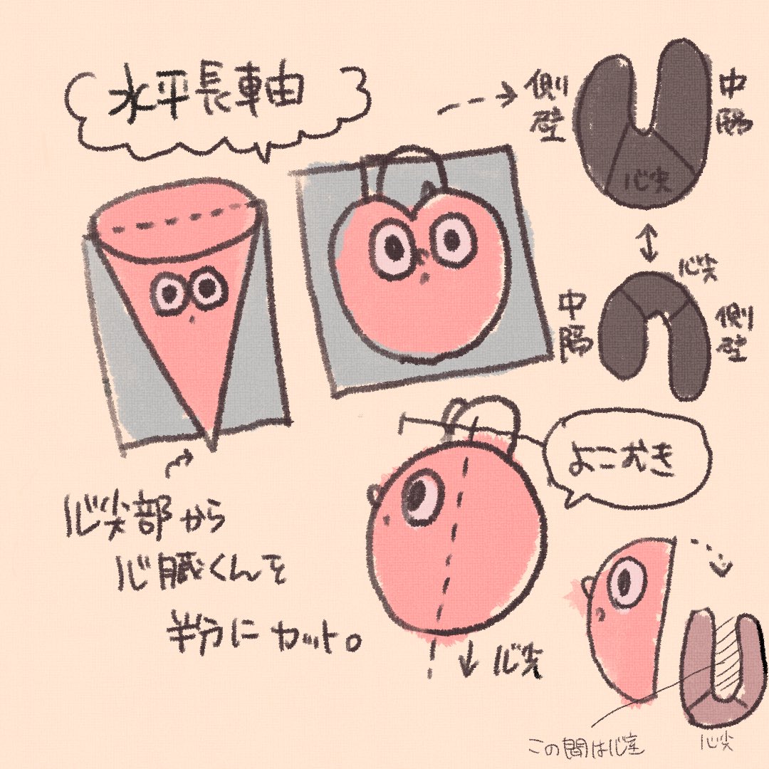 からだずかん Karada Fuchi Twitter