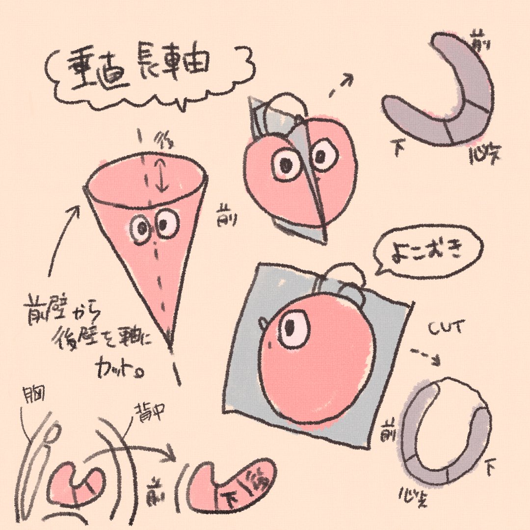 からだずかん Karada Fuchi Twitter