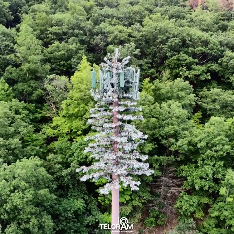teloram's tweet photo. Torre de telefonía móvil camuflada de árbol.
Esta ingeniería permite que la estructura se adapte a su entorno sin perjudicar su imagen.
.
.
.
#comunicaciones #internetradio #tecnologia #redessociales #engineers #ingeniería #ingenieríacivil #ingenieriacivil #smartphones https://t.co/jo8P5qYUPP
