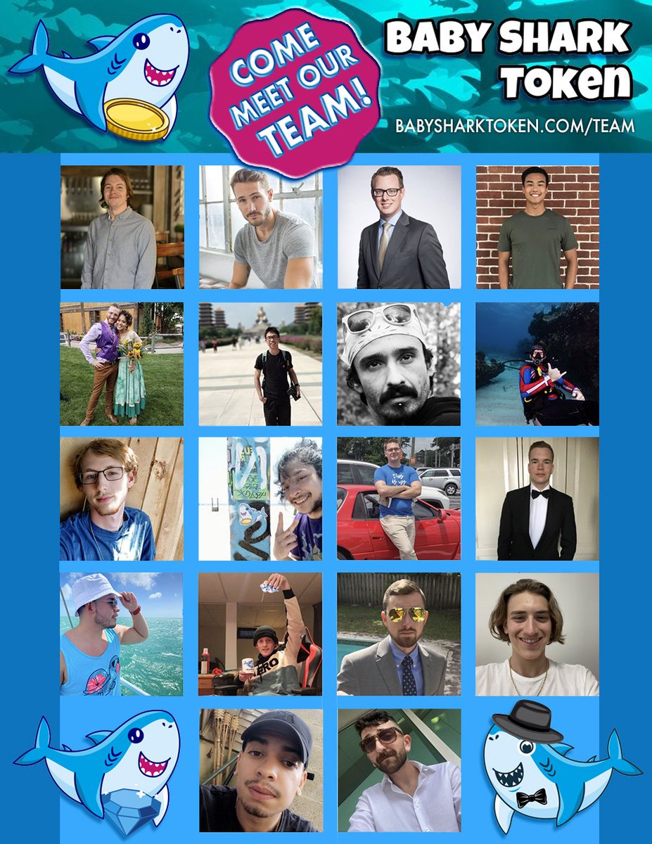 We present to you, this first wave of our public doxxing. Say Hello to the <a href="/BabySharkToken/">BabyShark 🦈📊</a> Team!
babysharktoken.com/team/