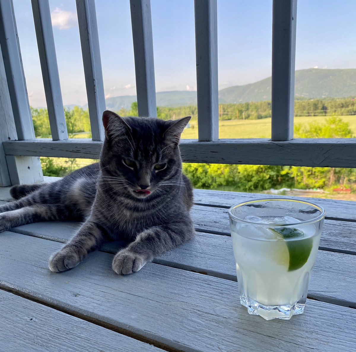 Don’t you even think about it. You’re underage.