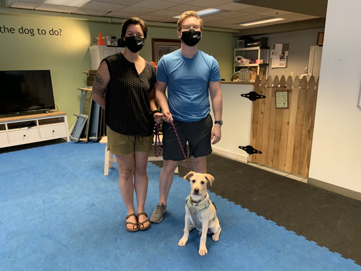 brooksidepet's tweet image. Congrats to Theo, our latest Puppy Start Right graduate!