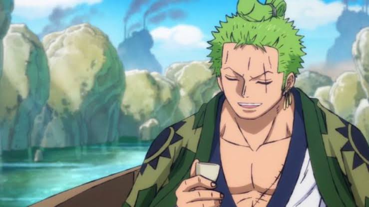 Zoro sola  One Piece Brasil™ Amino