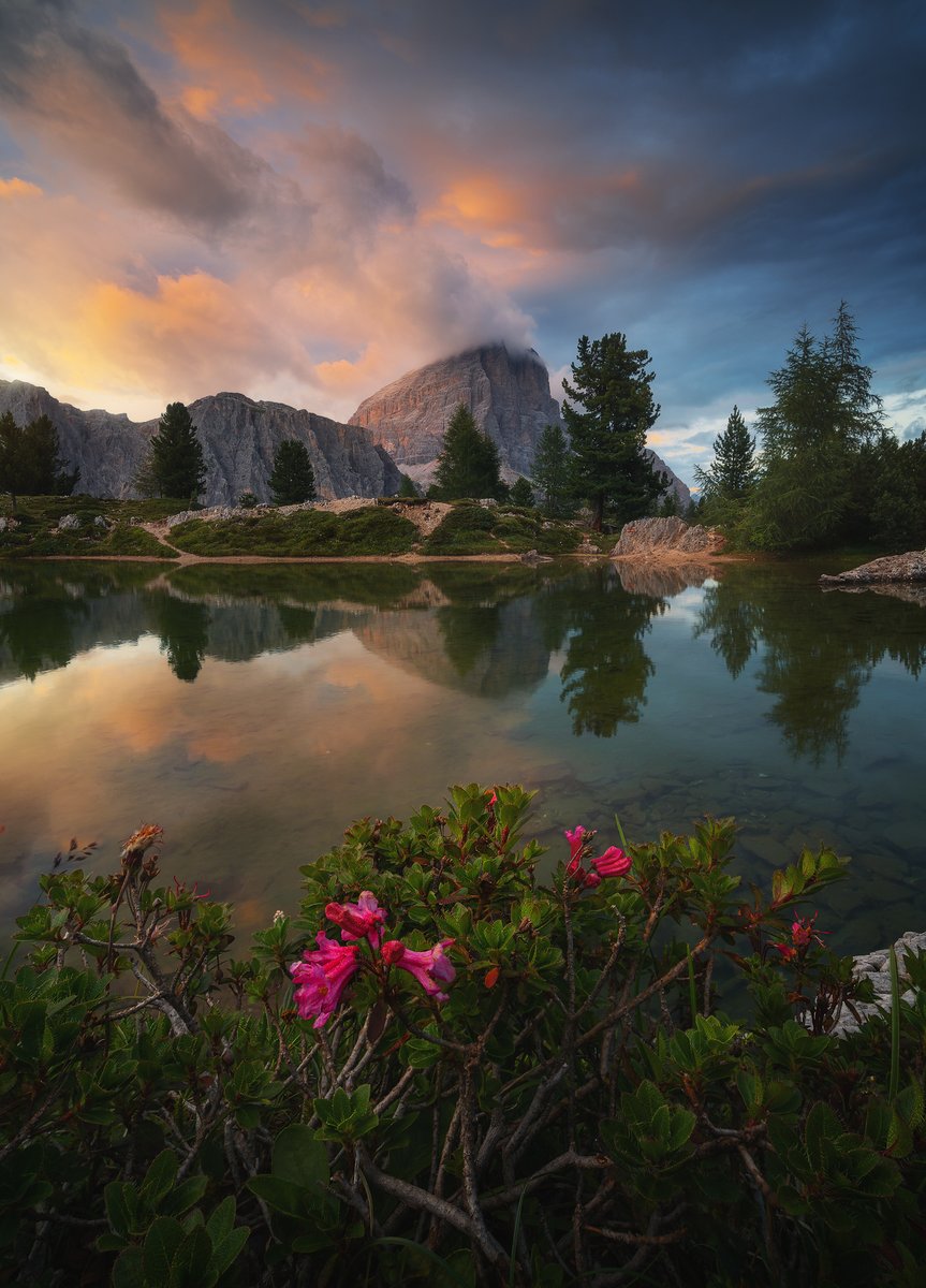 David Aguilar tweet media