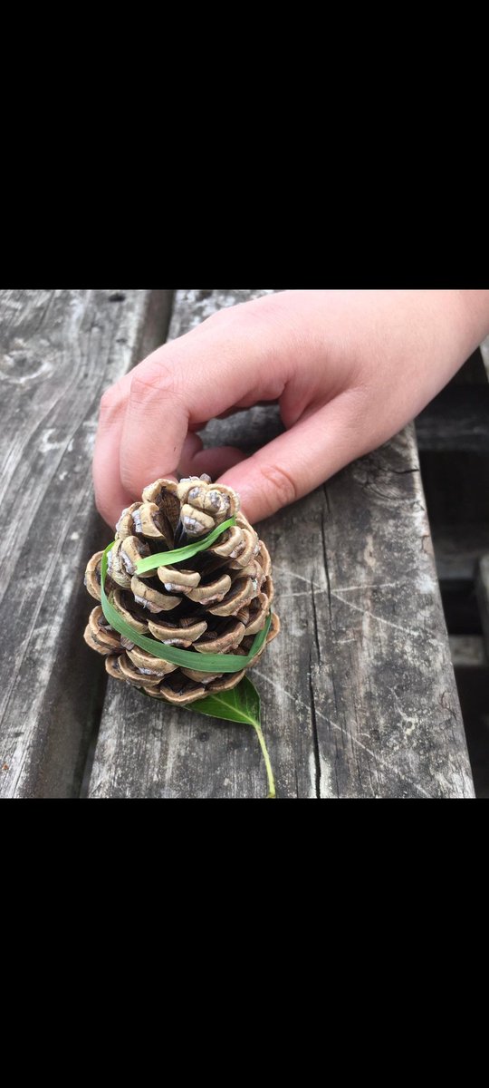 Creatures made in the first ever after school club at Ashbourne!