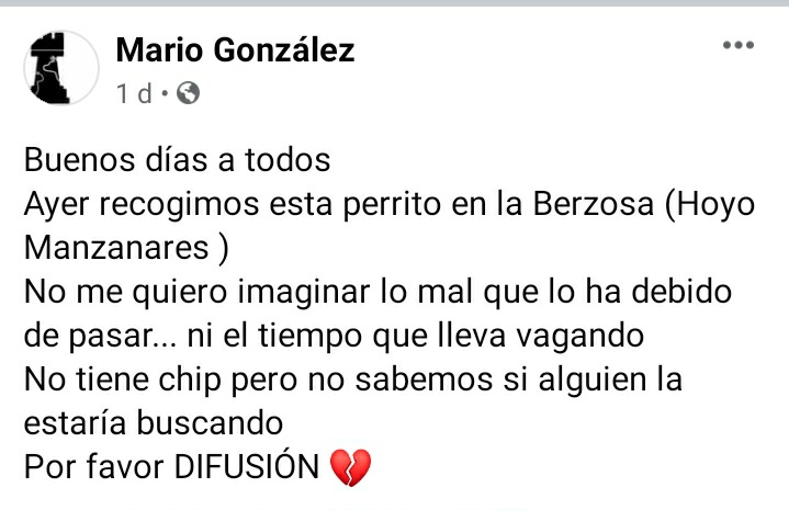 Andrea94748955's tweet image. Hoyo de Manzanares, Madrid . Esta perrita ha sido rescatada en estas condiciones, por la protectora Arat Adopta. Por supuesto, no tiene chip. 
Cada vez más abandono, cada vez más maltrato ante la indiferencia de las Administraciones y de los políticos. 
#prisiónmaltratoanimal