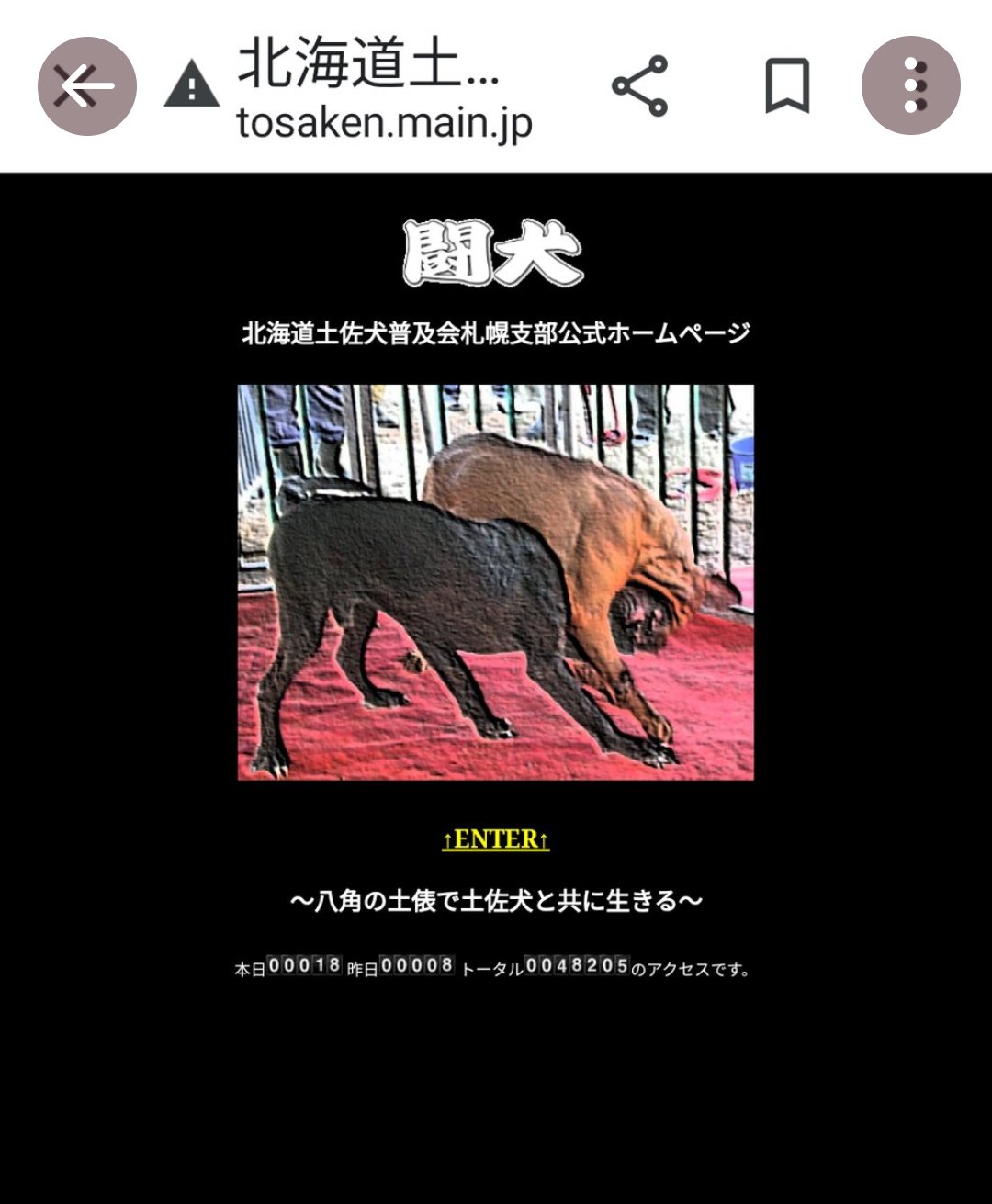 Kumiko 北海道でも闘犬大会があります 日程は6 21 7 26 8 23 9 10 25です 北海道は闘犬禁止なのですが土佐犬の闘犬は許可されてます 闘犬大会は全国各地で開催されています どうかメール ハガキアクションに北海道 大会阻止 全国での闘犬廃止を