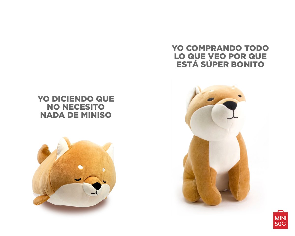 MinisoMexico's tweet photo. No me puedo negar a las cosas bonitas de la vida. 🤷🏽‍♂️ https://t.co/o0GGIURVQk