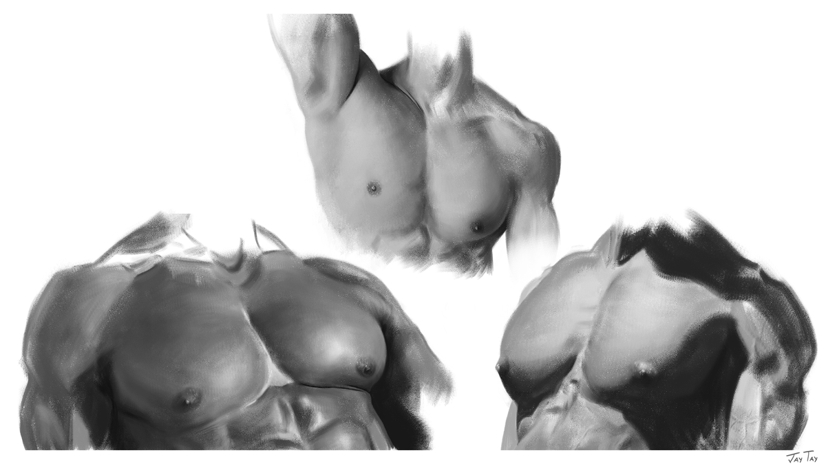 JAYVOIDart's tweet photo. Some painting practice of muscley man chests 👀 #digitalpainting #pecs https://t.co/SJkFBrdPTd