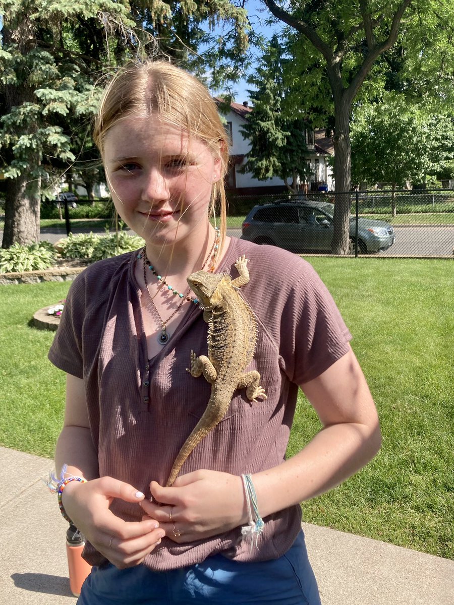 _gracer's tweet image. South MPLS: Found this charmer wandering outside my house in Standish Saturday night. Pet store said it could have gone two miles that day, having the time of its life exploring MPLS. 

Reports filed, but if you know anyone missing a bearded dragon, let me know!