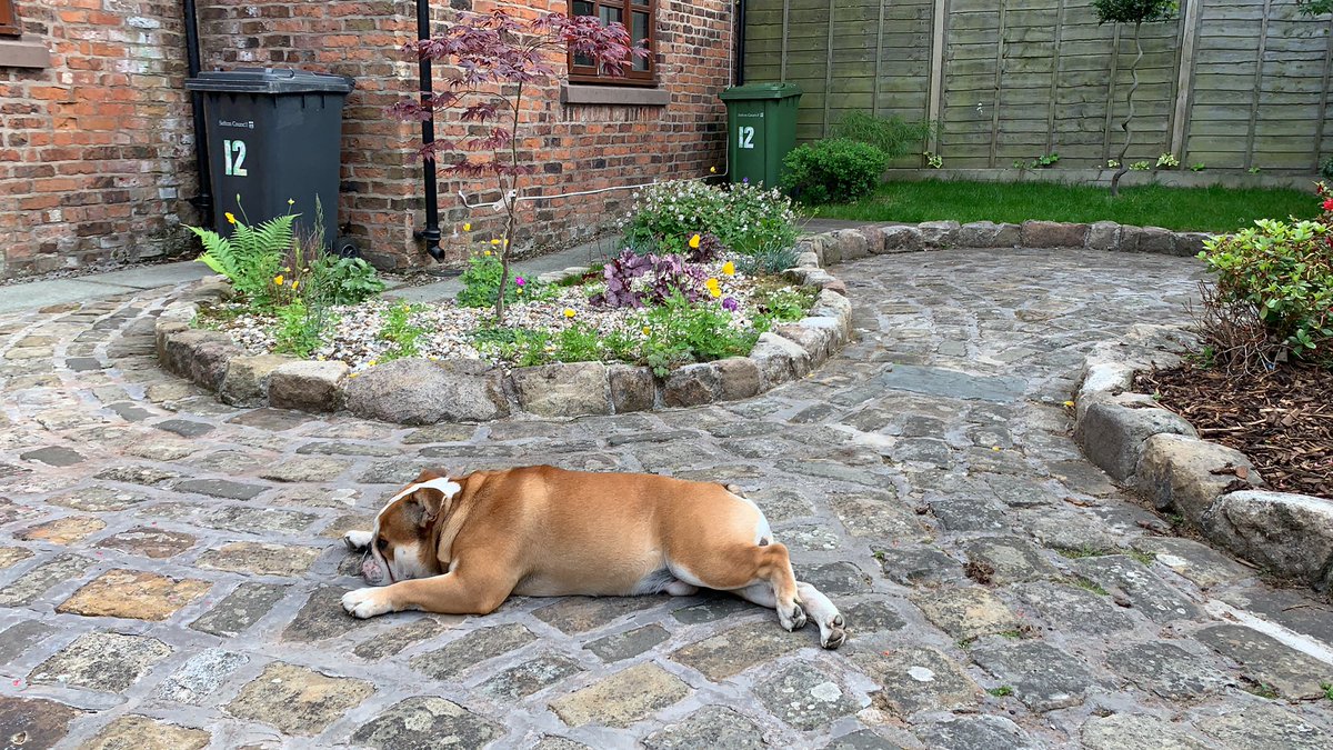 Nice little stroll with the hound - perfect way to end the day!!