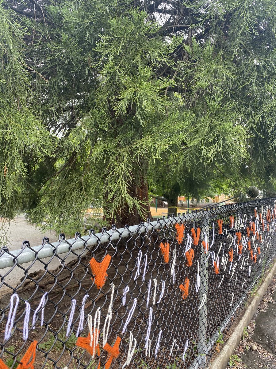 mtasi1's tweet photo. Thank you to Ridgeway Elementary students for the 215 ribbons you made to honour the kidnapped children found at the Kamloops residential school burial site..⁦@NVSD44⁩ ⁦@RidgewayElem⁩ https://t.co/zMoxN09JWS